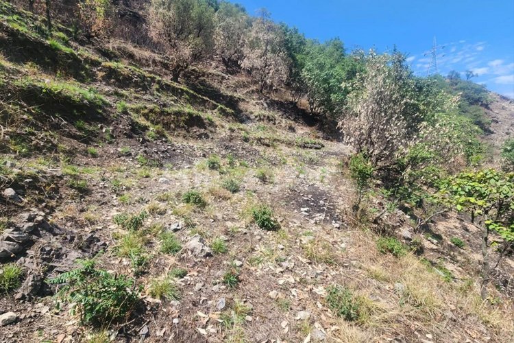 Plots for sale in Narendra Nagar Rishikesh