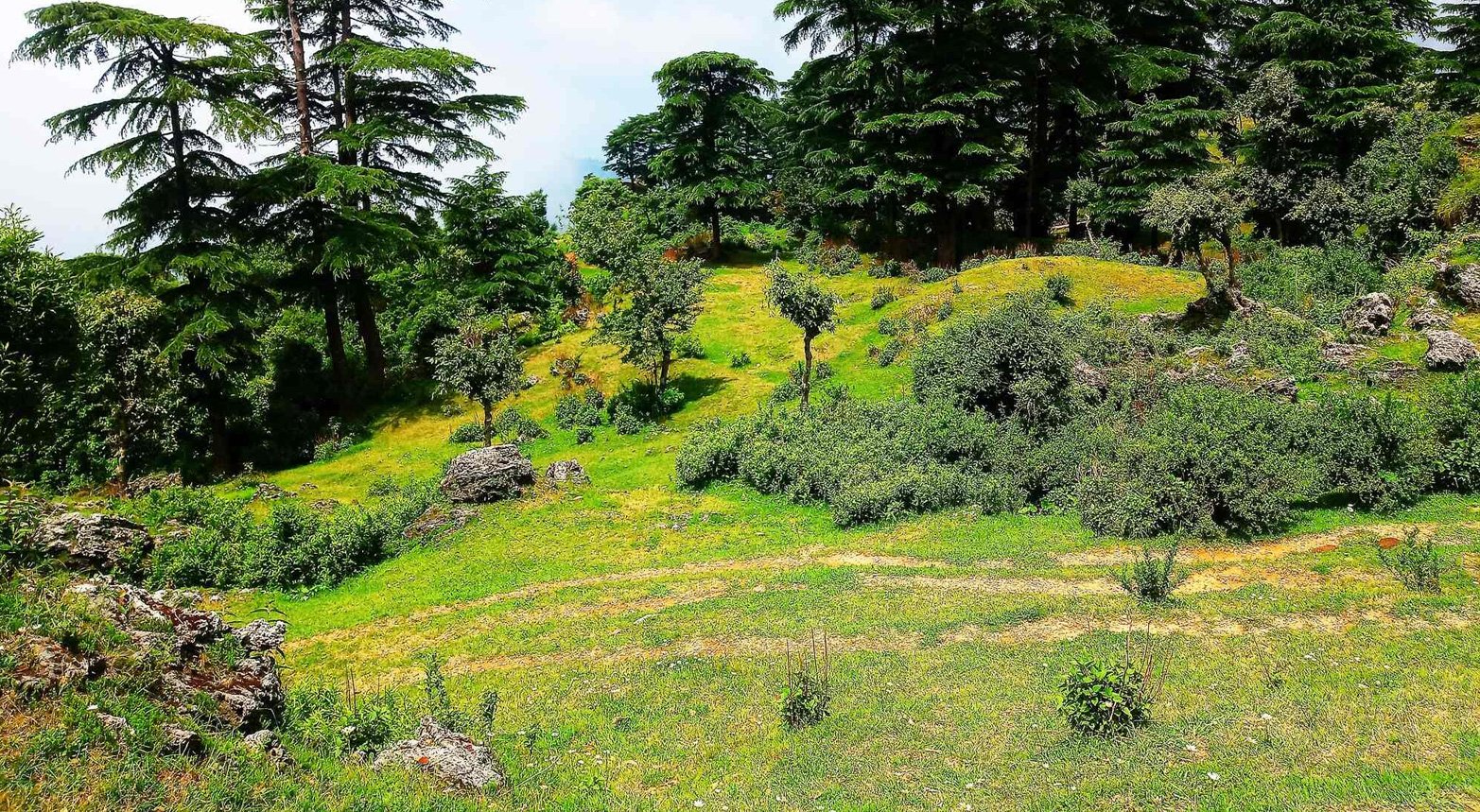 property-for-sale-in-mussorrie