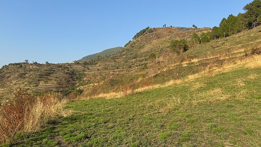 Uttarakhand Land for sale